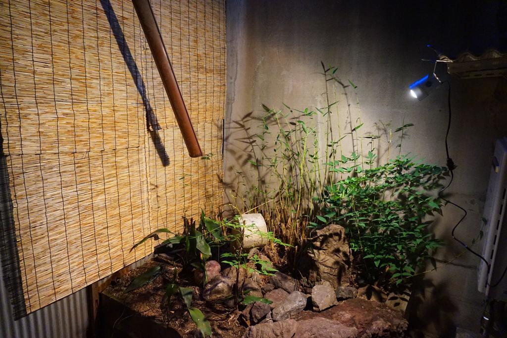 Kyoto House Leilighet Eksteriør bilde